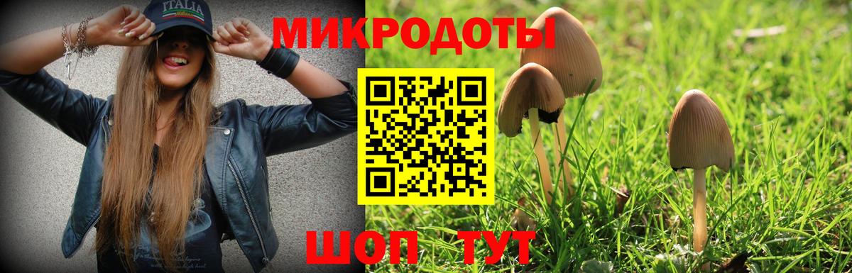 Псилоцибиновые грибы GOLDEN TEACHER  Вход с VPN  Калининград 